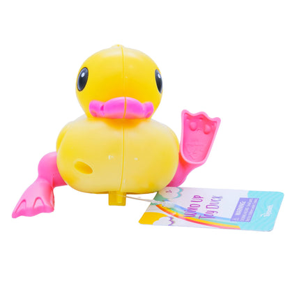 Wind Up Toy Duck