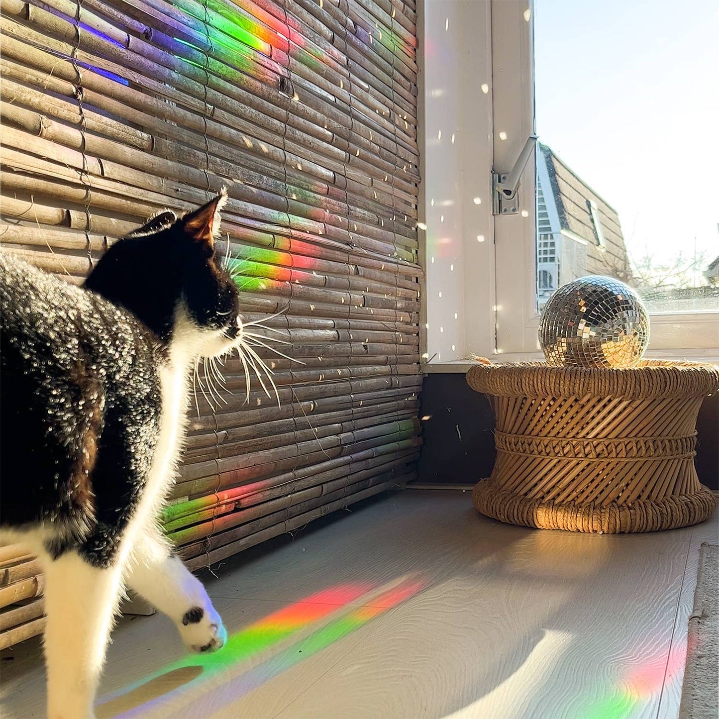 You shine so bright Suncatcher