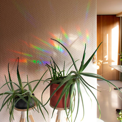 You shine so bright Suncatcher