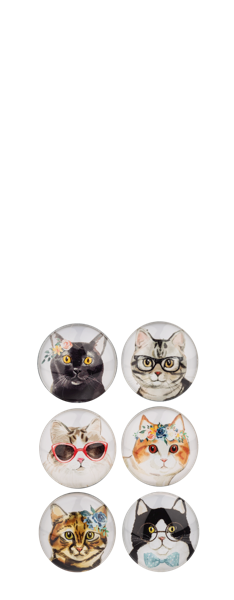 Cat Magnet