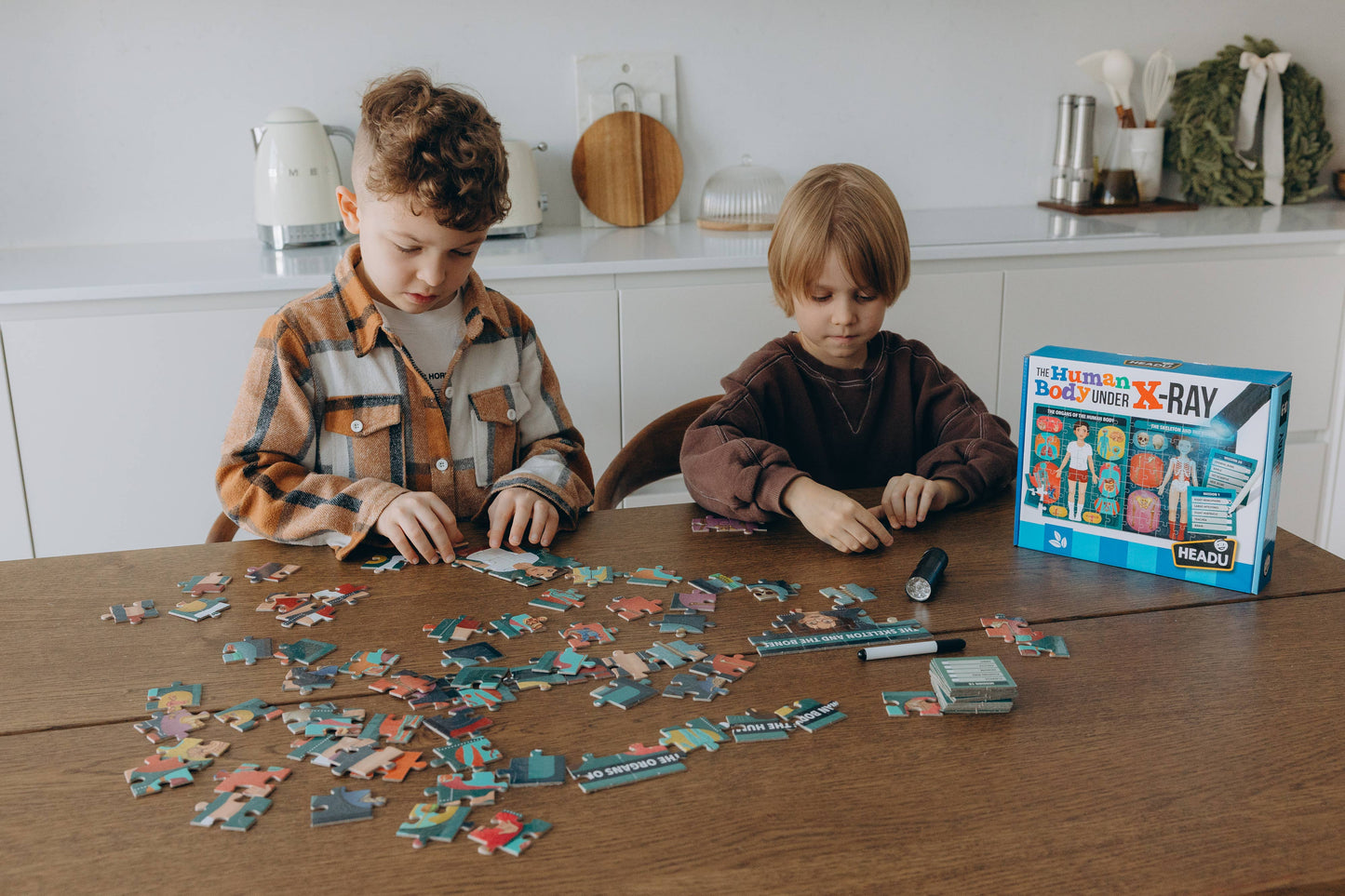 The Human Body under X-Ray