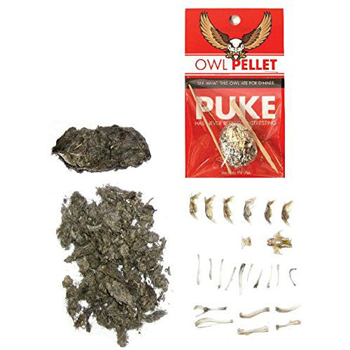 Owl Pellet