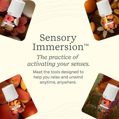 ClickWick® Sun-kissed Escape Collection - 4-Pack