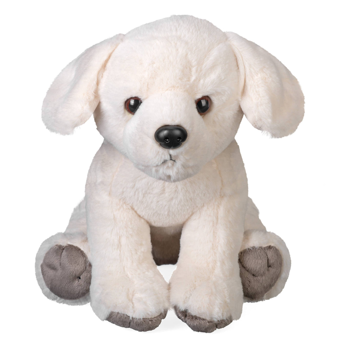 Yellow Labrador