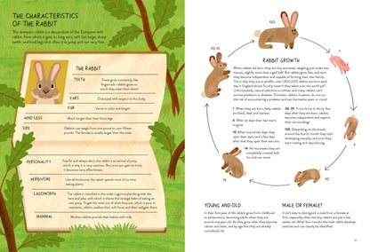 Rabbitology