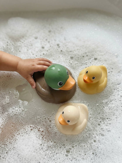 Mallard Itzy Ducky Family