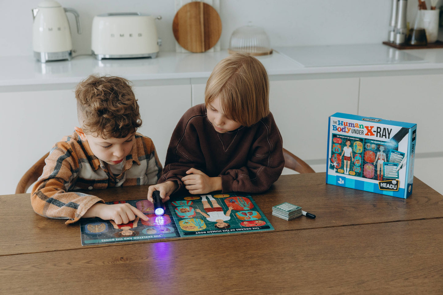 The Human Body under X-Ray