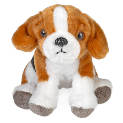 Beagle Pocketkins