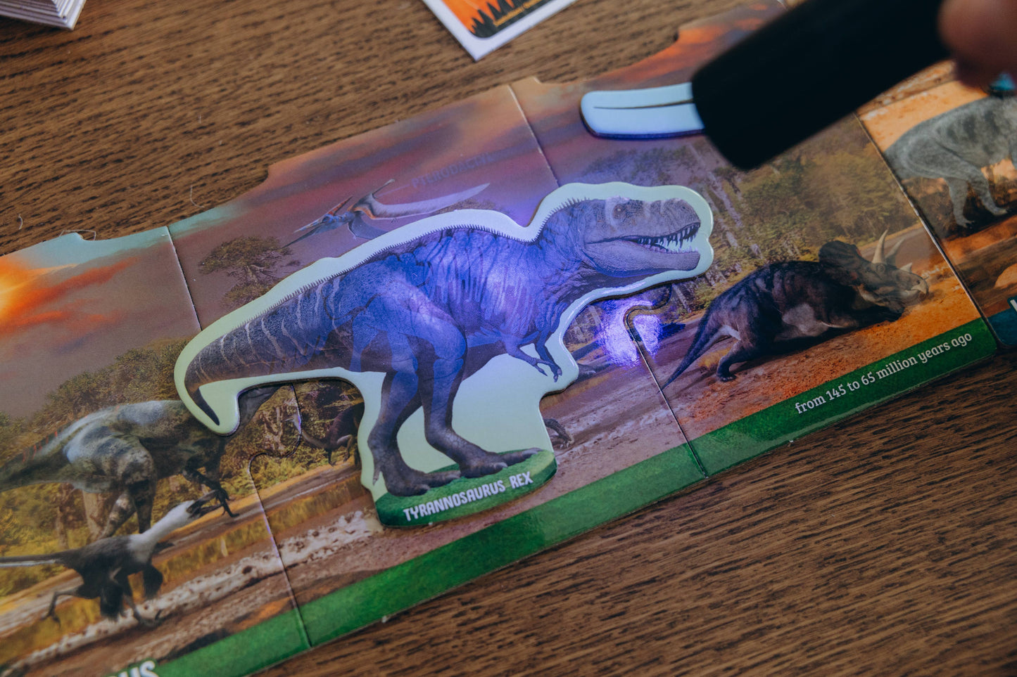 Dinosaurs under X-Ray