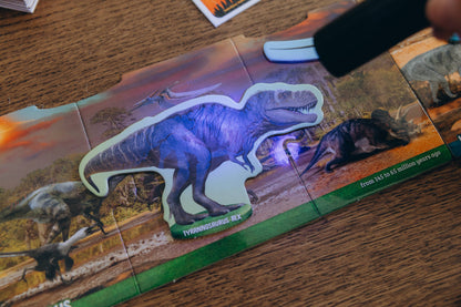 Dinosaurs under X-Ray