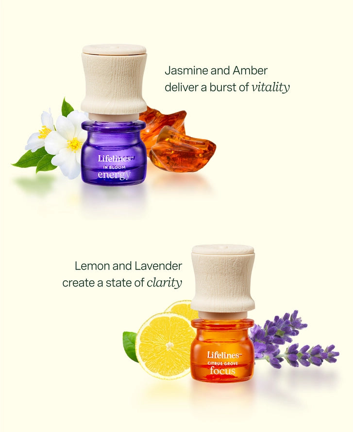 Discovery Set Essential Oils