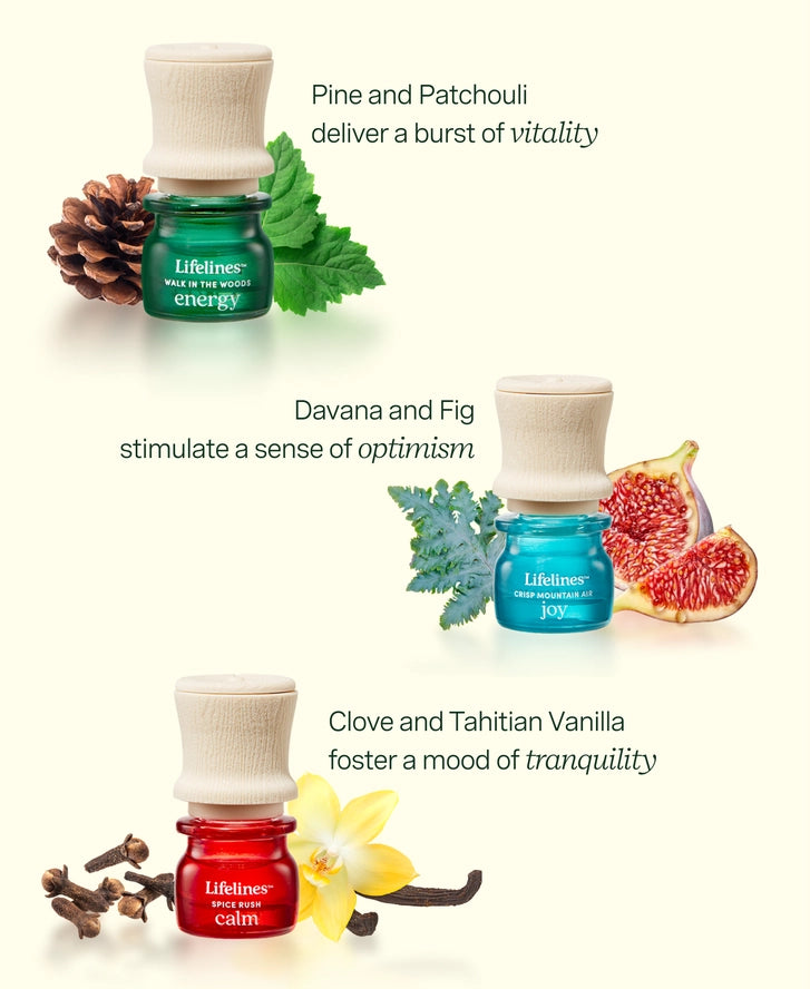 Discovery Set Essential Oils