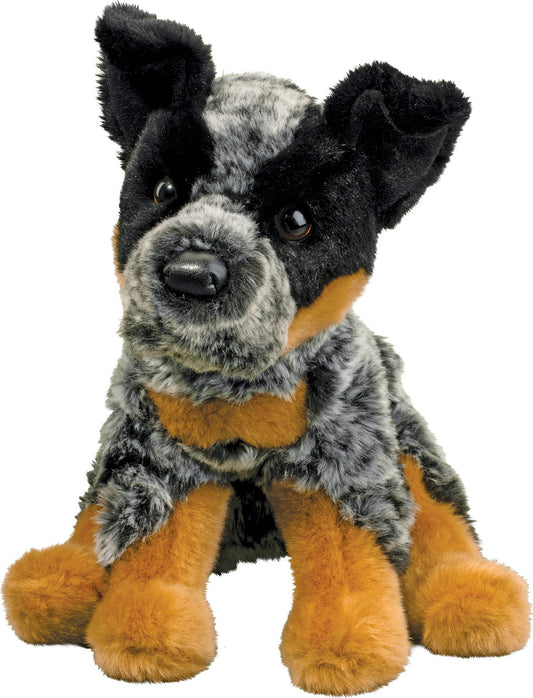 Dexter Australian Cattle Dog