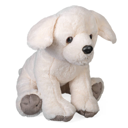 Yellow Labrador
