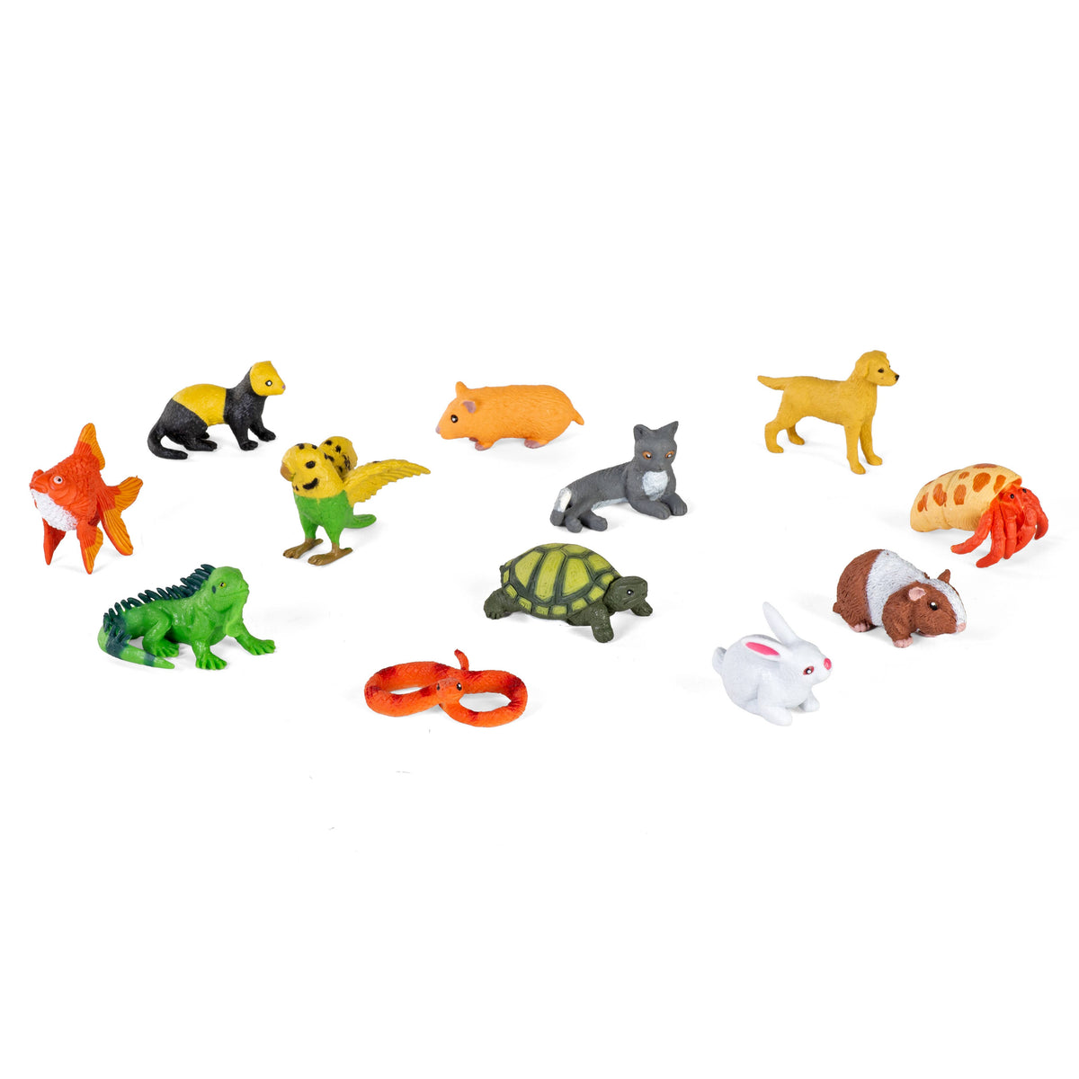 Pet Nature Tube