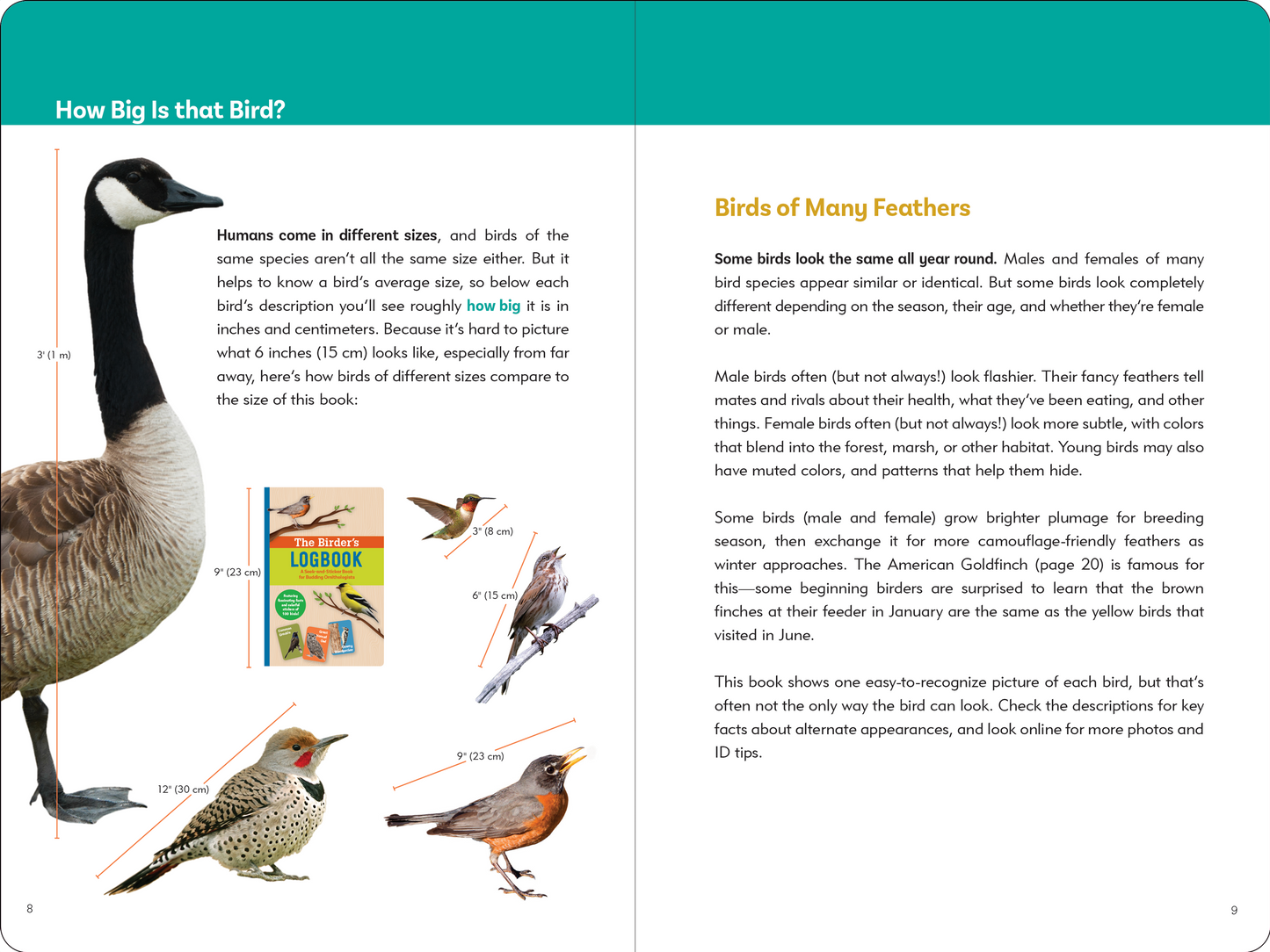 Birder's Logbook: A Sticker Book for Budding Ornithologists