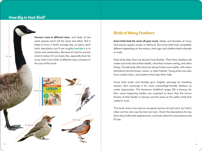 Birder's Logbook: A Sticker Book for Budding Ornithologists