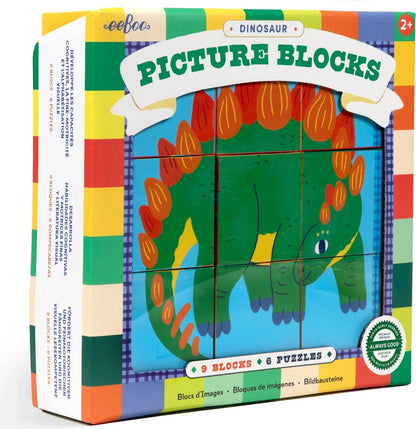 Dinosaur Picture Blocks