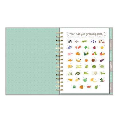 Countdown to Baby Undated Pregnancy Planner