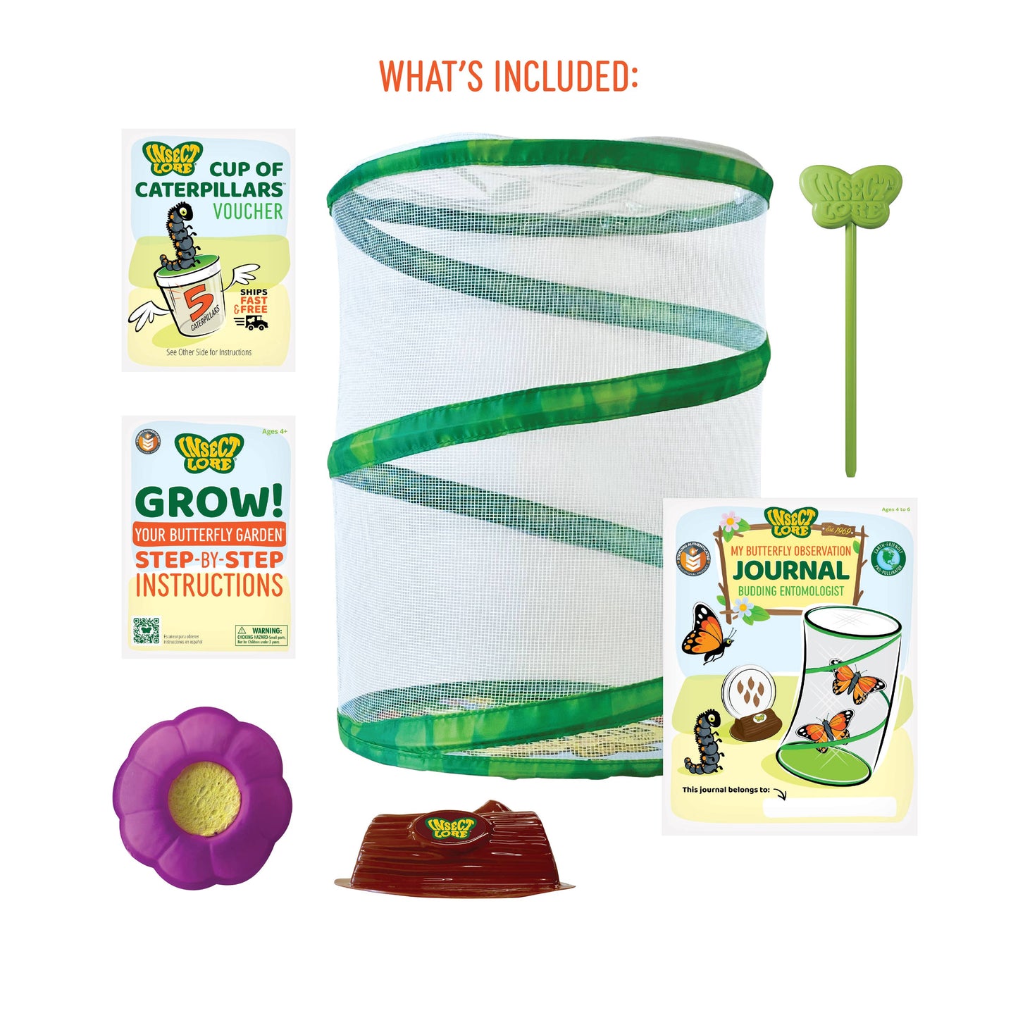 Butterfly Garden Life Cycle Kit