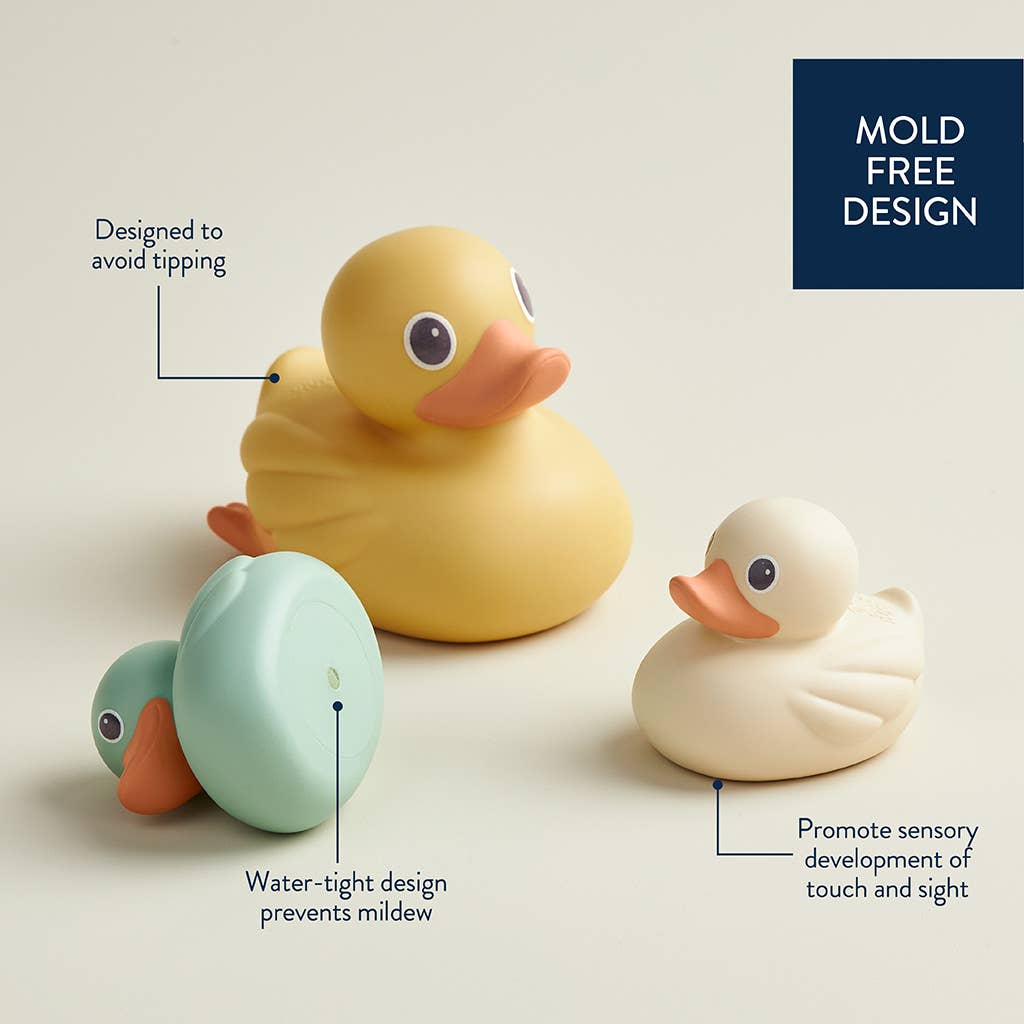 Mallard Itzy Ducky Family