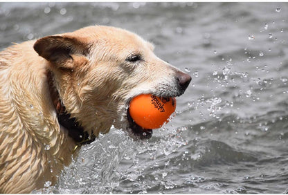 Fetch & Glow Ball