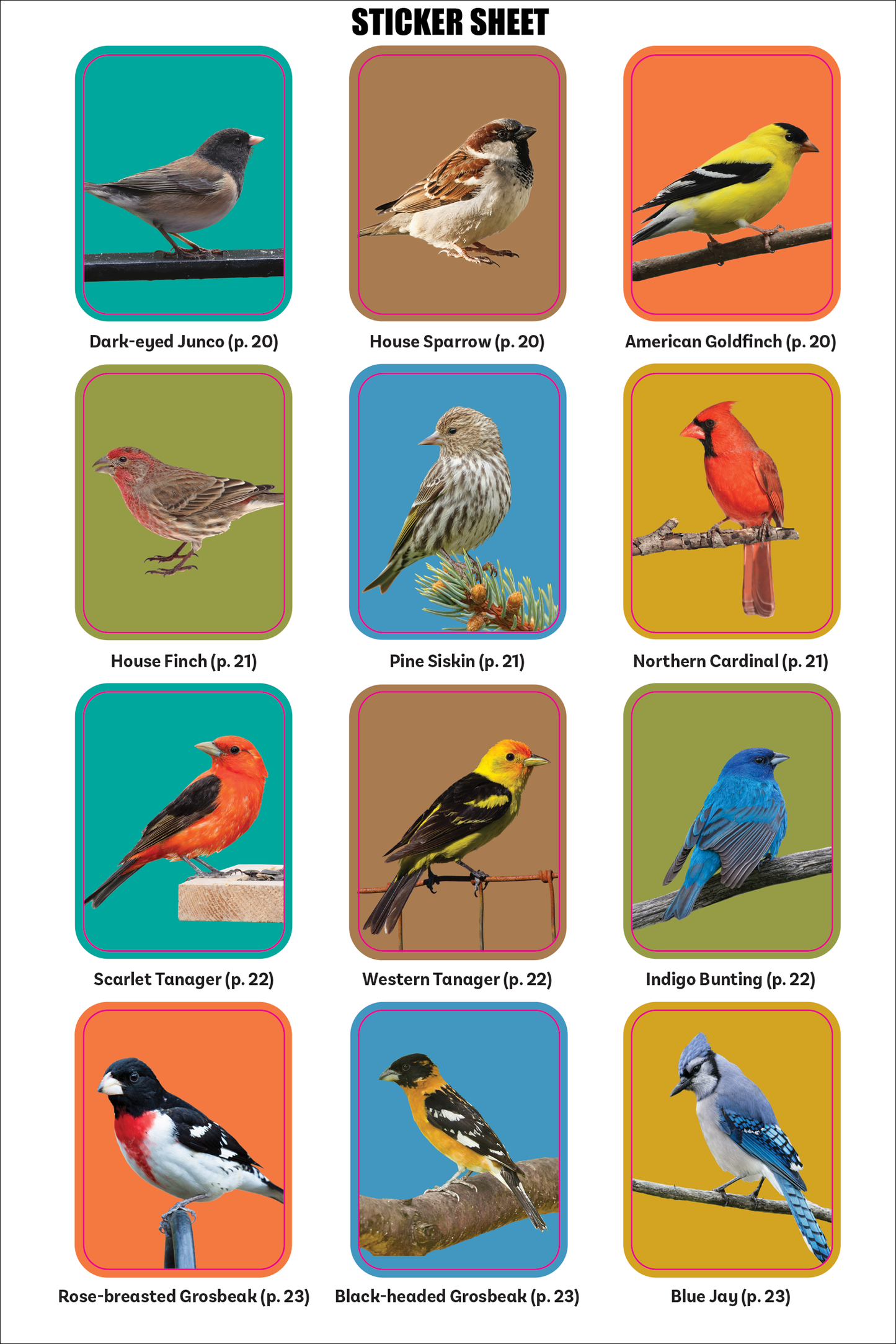 Birder's Logbook: A Sticker Book for Budding Ornithologists