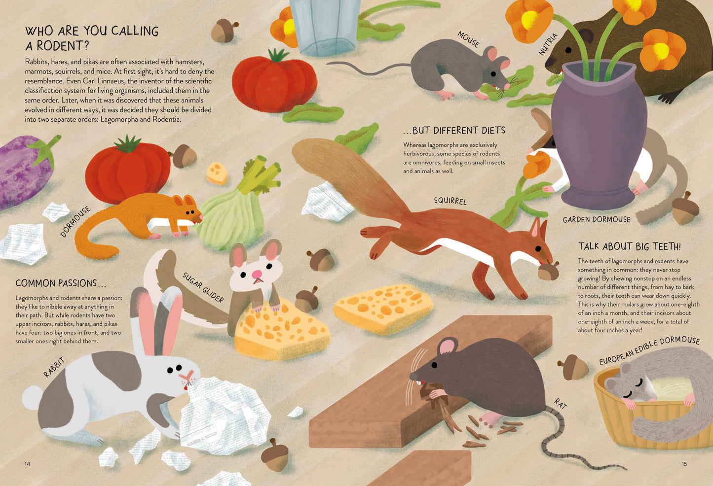 Rabbitology