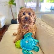 DOG Plush Toys - 100% Sustainable