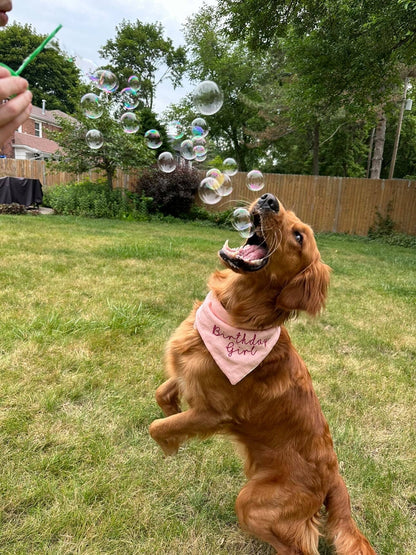 Peanut Butter Swirl Pets BubbleLick Bubbles