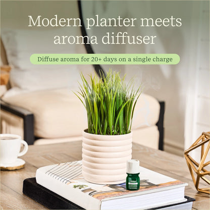 Planter Diffuser