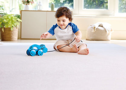 William® Pull-Along Toy