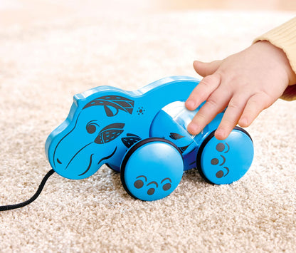 William® Pull-Along Toy
