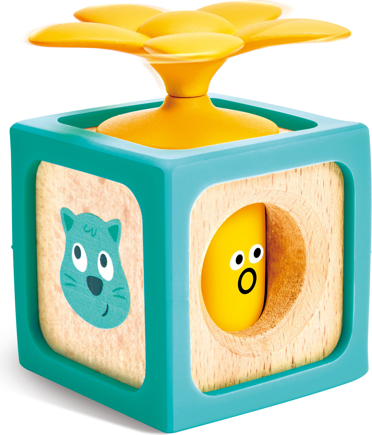 Delightful Discovery Blocks