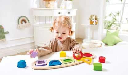 Colour & Shape Sorting Puzzle