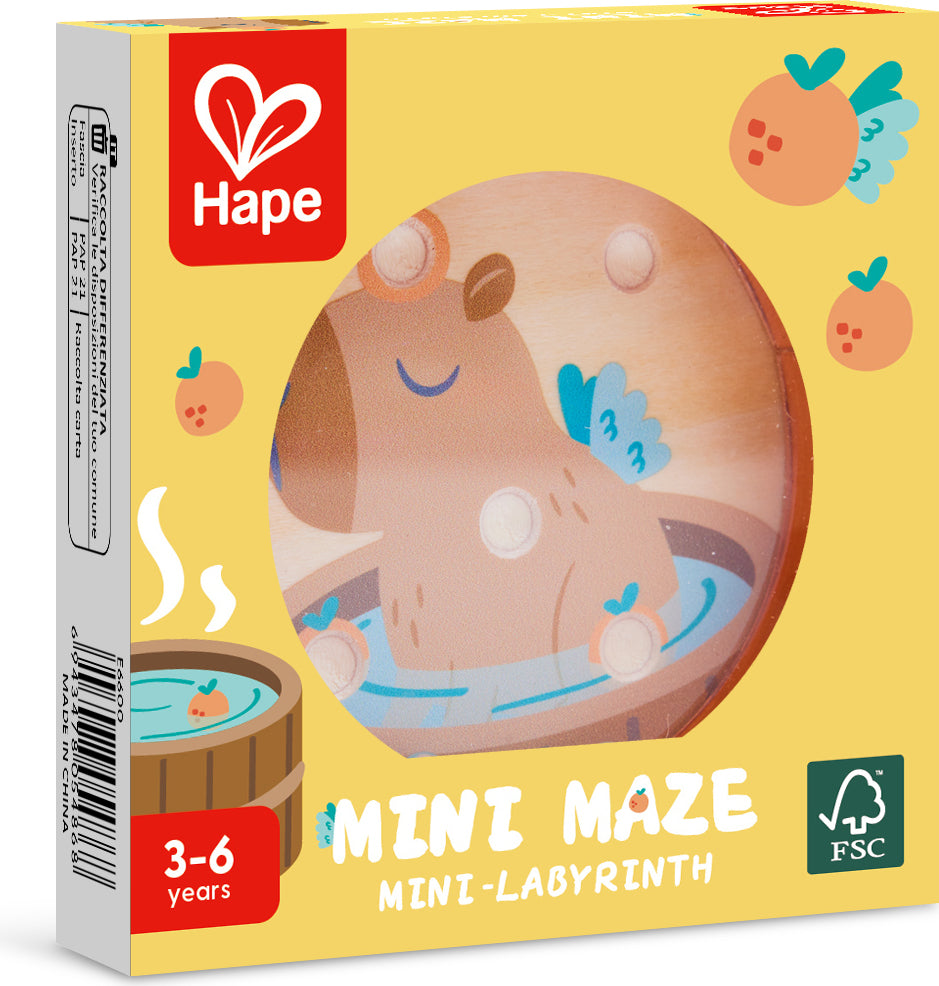 Mini Maze (assorted - 4 Styles)