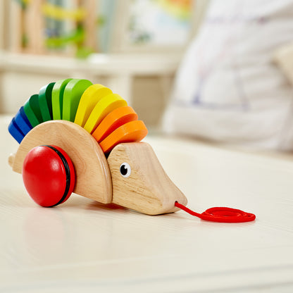 Pull - Along Porcupine