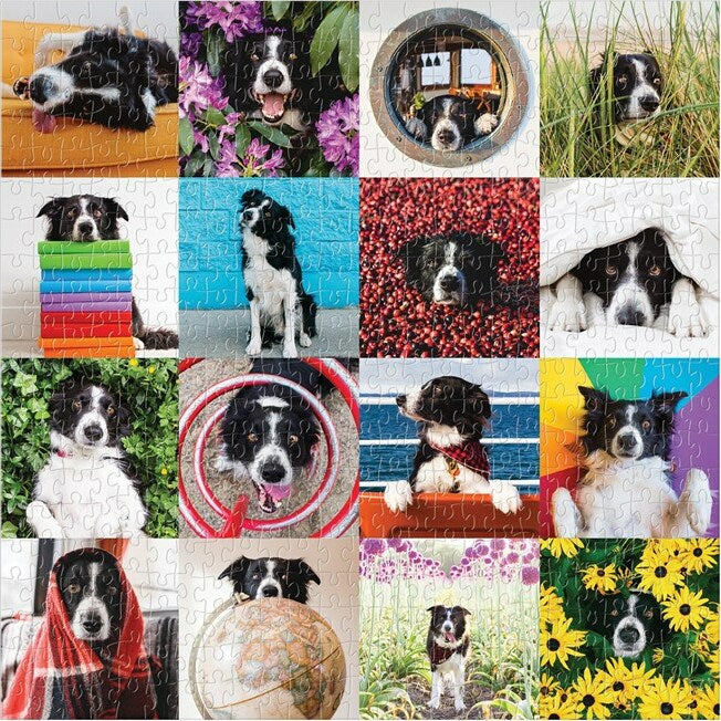 Momo The Dog 500 Piece Puzzle