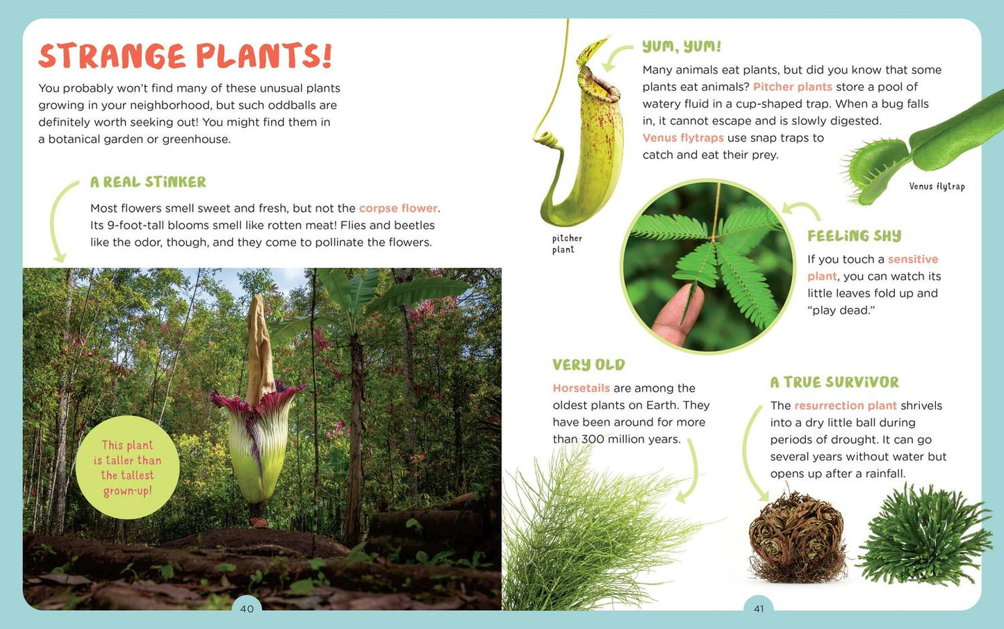 Backpack Explorer: Discovering Plants and Flowers: What Will You Find?