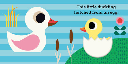 This Little Duckling: A Touch and Feel Book