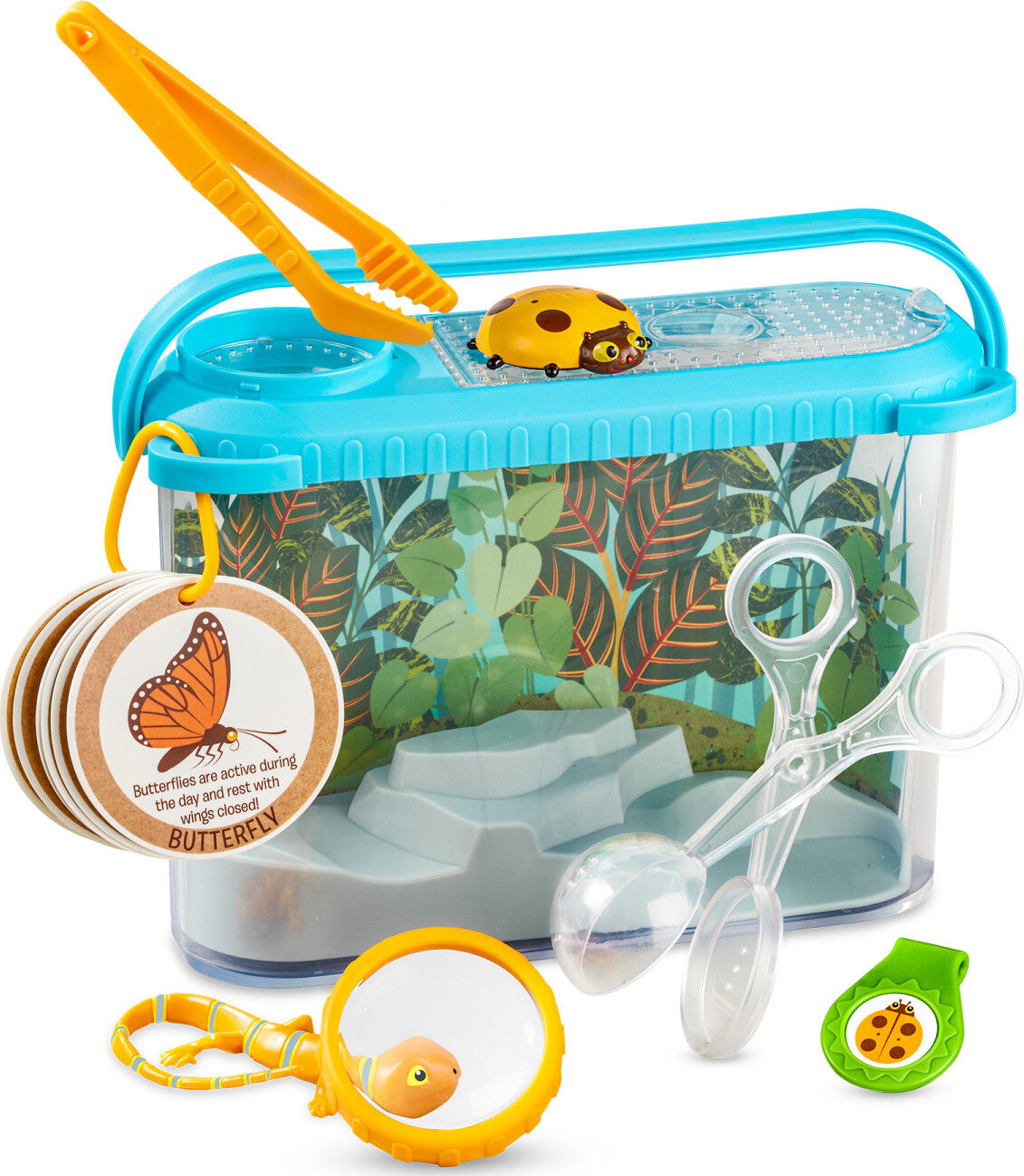 Terrarium Observations Play Set