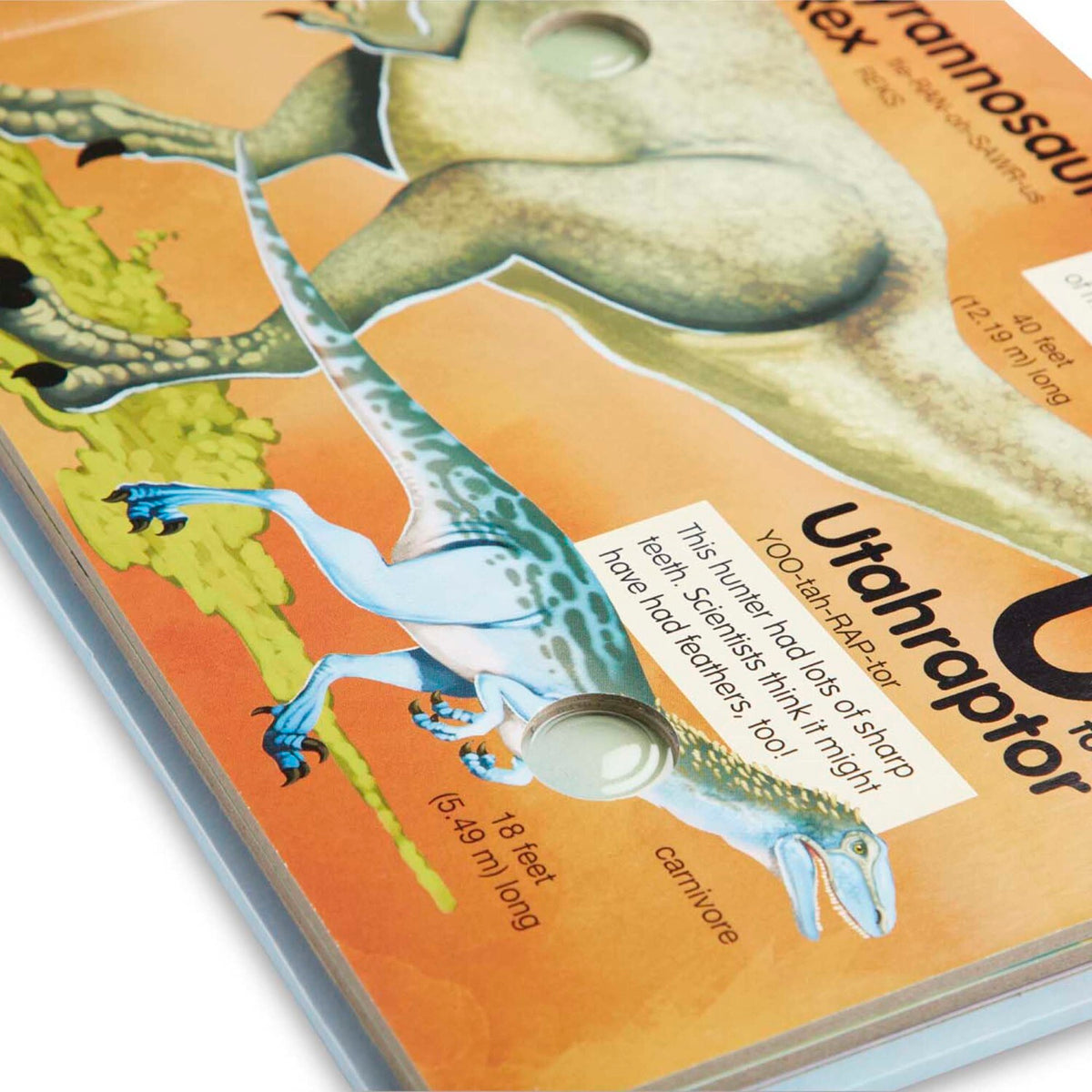 Dinosaurs A To Z, Poke-a-Dot!