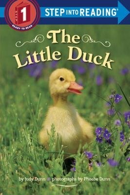 The Little Duck