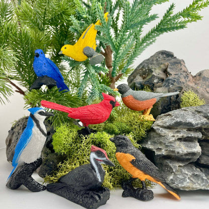 Backyard Birds TOOB®