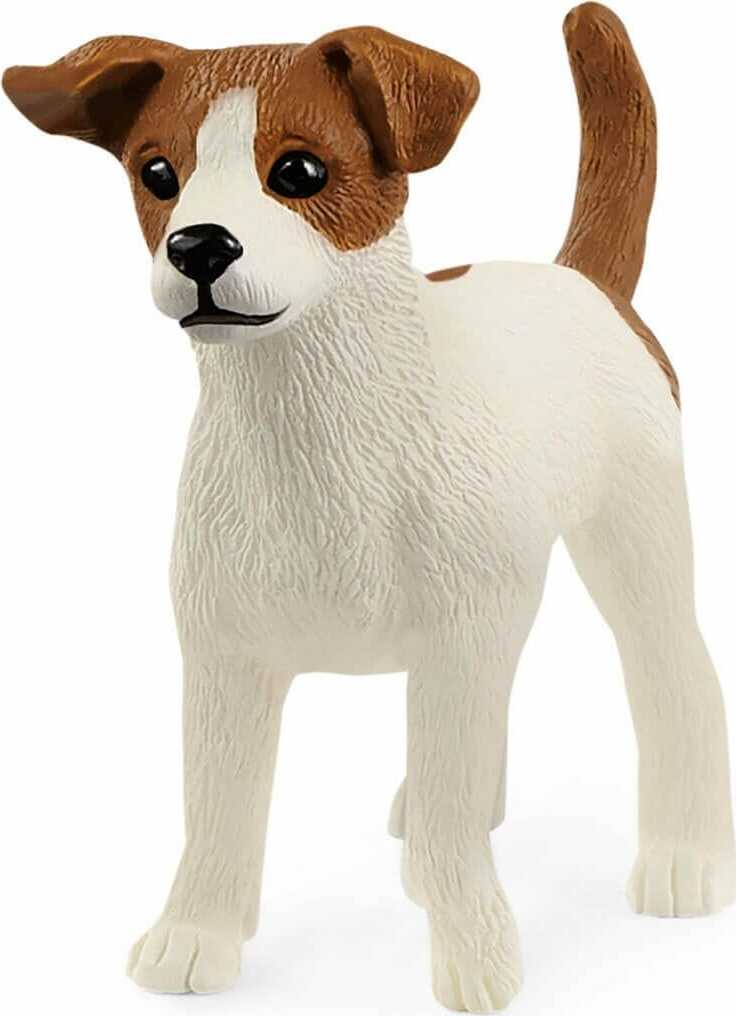 Jack Russell Terrier