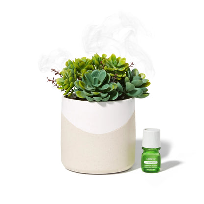 Planter Diffuser