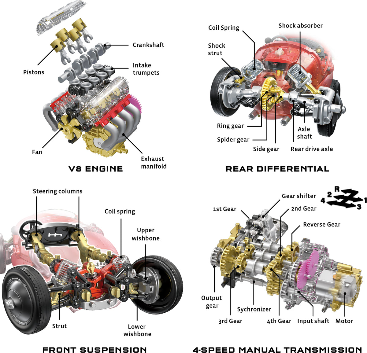 V8 Race Car