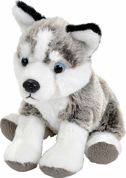 Pocketkins Eco Husky Stuffed Animal - 5"